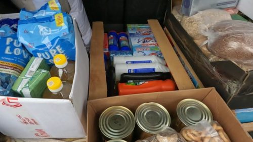 The Kovalenko family