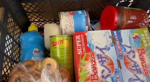 The Podkopaev Family 