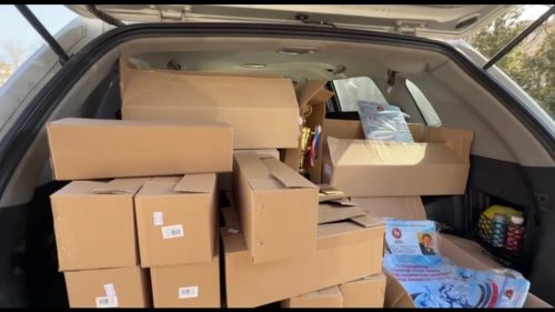 Wrestling Tournament 2026