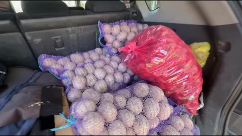 Grocery Donation 