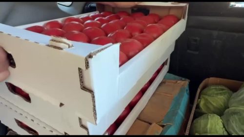 Grocery Donation 